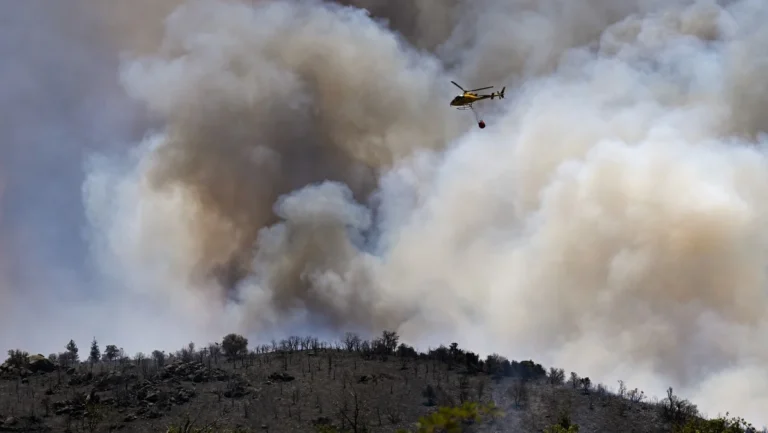 Incêndios Devastam Mais de 17 Mil Hectares na Europa em Meio a Calor Extremo Incêndios Devastam Mais de 17 Mil Hectares na Europa em Meio a Calor Extremo