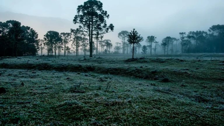 Clima em Julho 2026: Frio Intenso e Chuva Acima da Média em Todo o Brasil