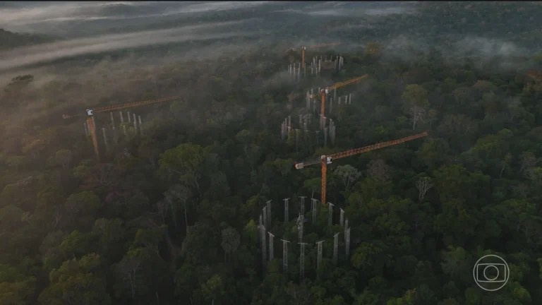 Máquina na Amazônia simula clima futuro para entender impactos das mudanças climáticas Máquina na Amazônia simula clima futuro para entender impactos das mudanças climáticas