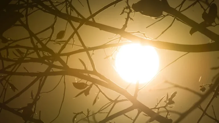 Clima em Agosto: Tempestades e Baixa Umidade Marcam o Início do Mês Clima em Agosto: Tempestades e Baixa Umidade Marcam o Início do Mês